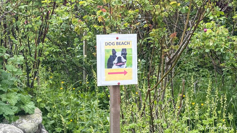 Dog beach, this way! - photo © Kevin Morris