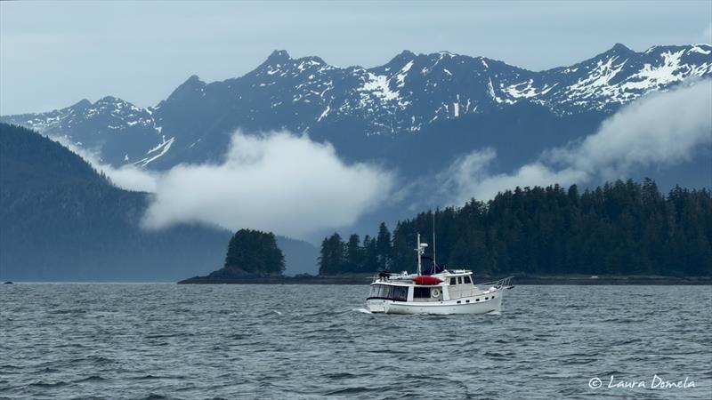 Evenstar Kadey Krogen in Chatham Strait - photo © Laura Domela