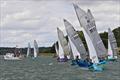 National 12 Dinghy Shack Series and Smugglers' Trophy at Royal Harwich © Steve Le Grys