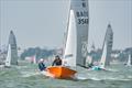 Allen Sailing National 12 Burton Week 2024 at Felixstowe Ferry © Pavel Kricka