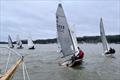 Royal Harwich Shiver Series day 1 © Amanda Portway