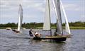 Norfolk Punt Championships 2024 at Barton Broad © Robin Myerscough