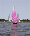 Norfolk Punt Championships 2024 at Barton Broad © Robin Myerscough