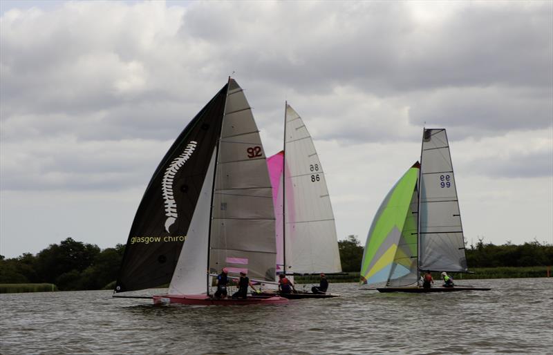 Norfolk Punt Championships 2024 at Barton Broad - photo © Robin Myerscough