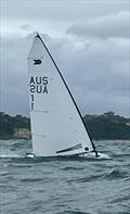 Roger Blassé Powering in 20 knots. 2025 OK Australian Championships © Nik Wallis