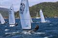 New Zealand OK Nationals at Queen Charlotte © Lamirana Photography