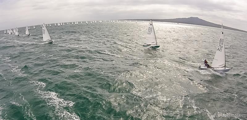 Day 2 of New Zealand Nationals - OK Dinghy Nationals 2019 - photo © Robert Deaves