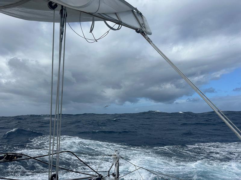 Giancarlo Pedote in the Vendée Globe - Onboard image, week 6 - photo © Giancarlo Pedote