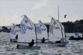 IOCA Optimist End of Season Championships 2025 at Parkstone &copy; Livs Dowling / OCT Films