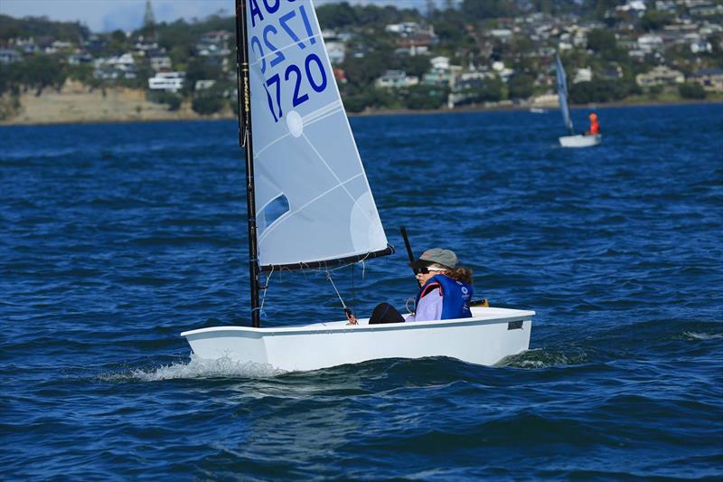 Day 3, 2019 Toyota NZ Optimist Nationals, April 2019, Murrays Bay Sailing Club photo copyright Murrays Bay Sailing Club taken at Murrays Bay Sailing Club and featuring the Optimist class