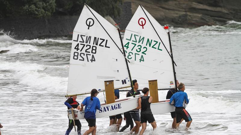 Wakatere BC - Optimist and Starling Auckland - Day 2 - February 6, 2022, - photo © Richard Gladwell - Sail-World.com/nz