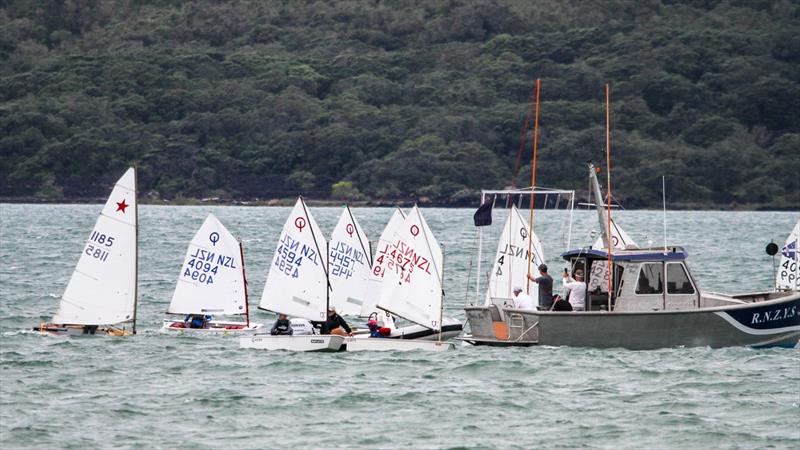 Optimist and Starling Auckland - Wakatere BC - February 7, 2022  - photo © Richard Gladwell - Sail-World.com/nz