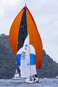 Extra large versus extra small - Pantaenius Pittwater Regatta 2025 © Andrea Francolini