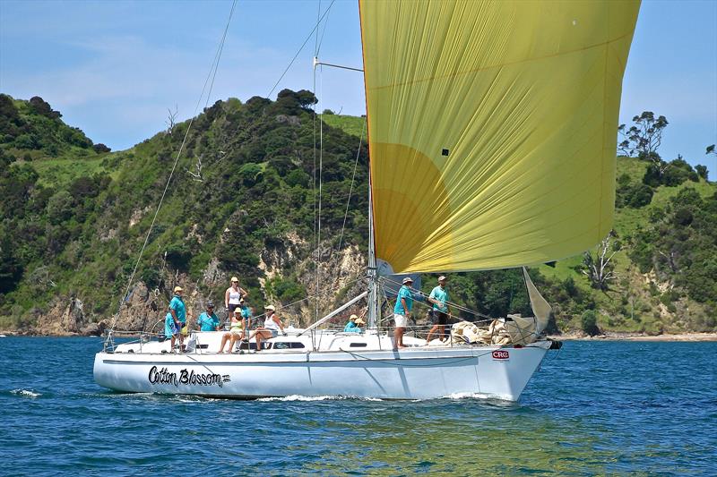 Day 2, Bay of Islands Sailing Week, January 25, 2018 - photo © Richard Gladwell