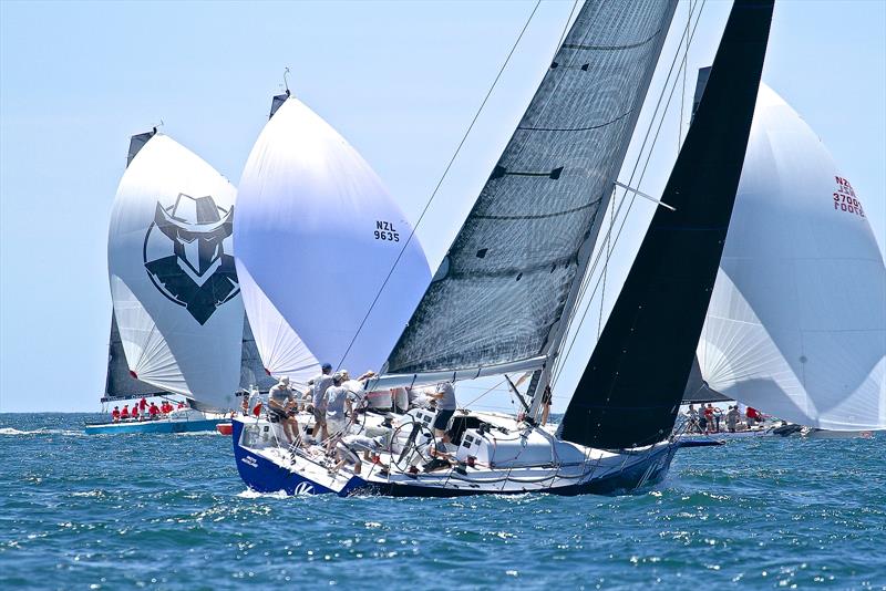 Day 2, Bay of Islands Sailing Week, January 25, 2018 - photo © Richard Gladwell