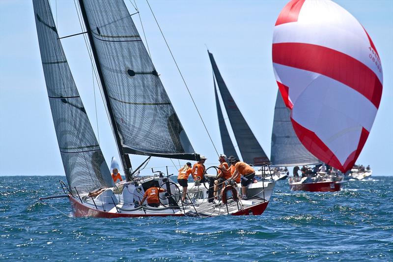 Day 2, Bay of Islands Sailing Week, January 25, 2018 - photo © Richard Gladwell