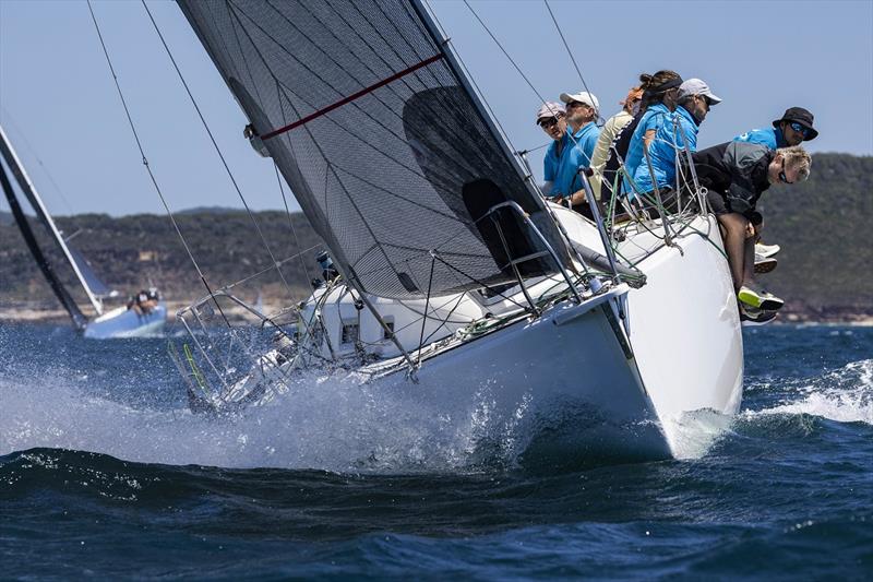 Local Hero - Pantaenius Pittwater Regatta 2025 - photo © Andrea Francolini