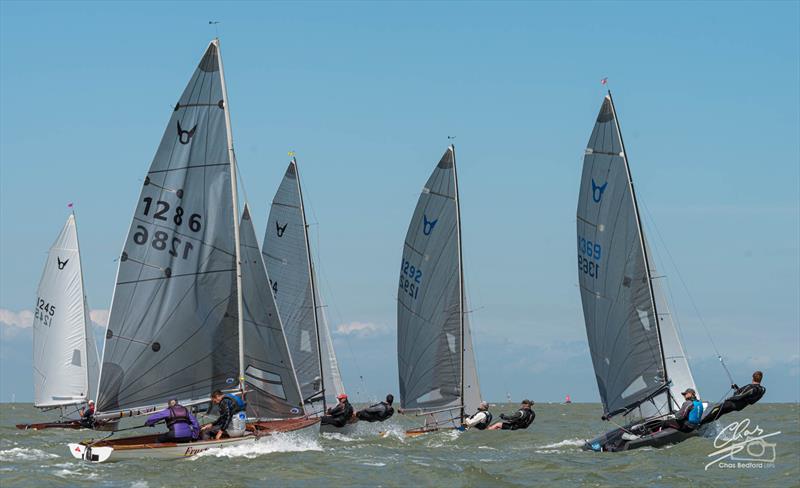 Isle of Sheppey Osprey Open - photo © Chas Bedford