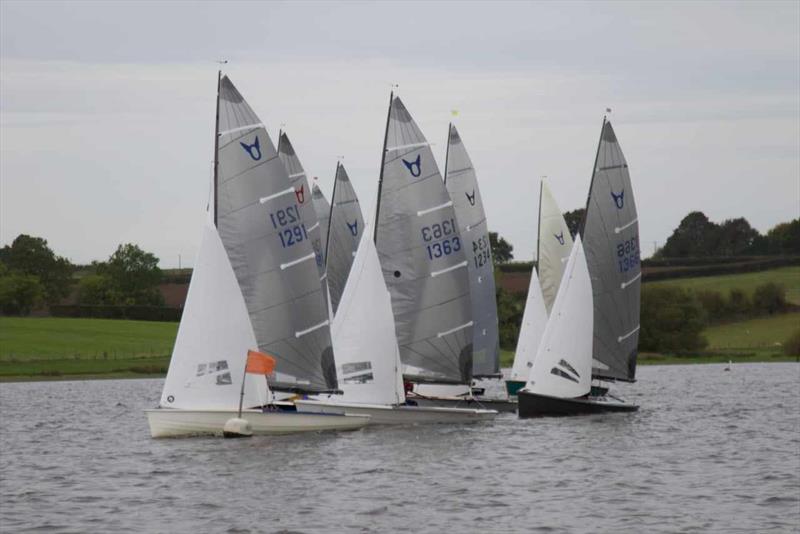 Blithfield Osprey Open - photo © Alastair Reid