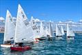 Wihau Shield - Day 2 - P Class Centennial - Tauranga Y&PBC - May 4-5, 2024 © Gary Smith