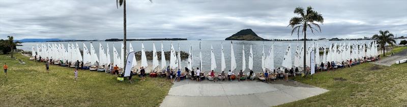 Assembled fleet -  P class - 2024 Tauranga Cup, January 7, 2024, Tauranga - photo © Gary Smith