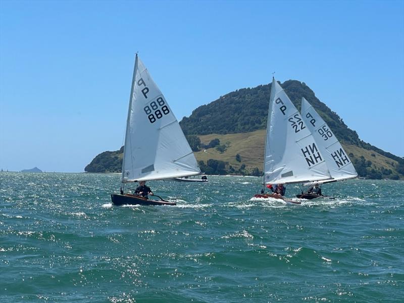 P class - 2024 Tauranga Cup, January 9, 2024, Tauranga - photo © Gary Smith