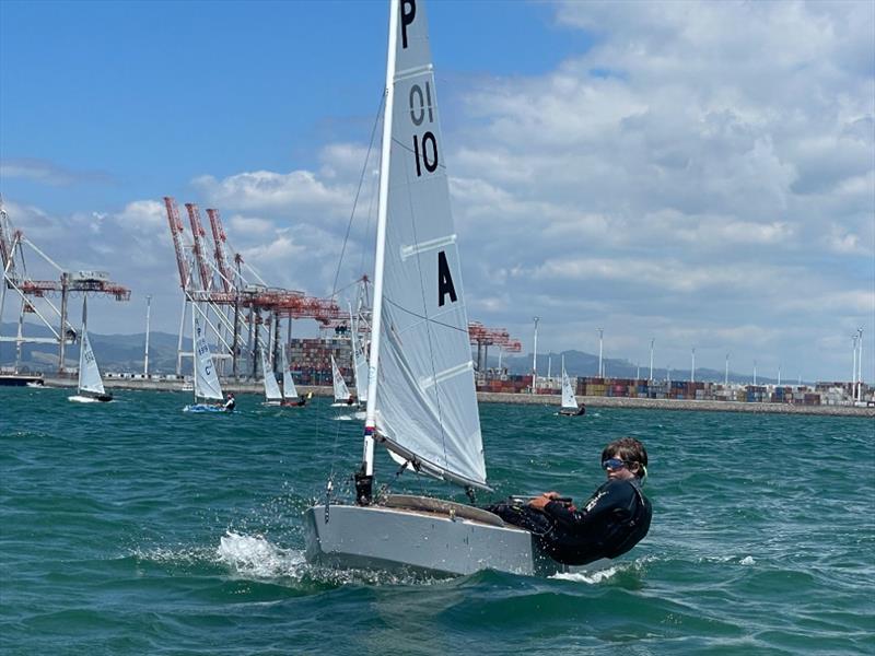 Hugo Smith - P class - 2024 Tauranga Cup, January 9, 2024, Tauranga - photo © Gary Smith