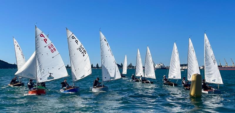 Wihau Shield - P class - 2024 Tauranga Cup, May 4, 2024, Tauranga photo copyright Gary Smith taken at Tauranga Yacht & Powerboat Club and featuring the P class class