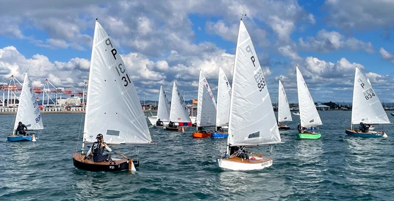 Wihau Shield - Day 2 - P Class Centennial - Tauranga Y&PBC - May 4-5, 2024 photo copyright Gary Smith taken at Tauranga Yacht & Powerboat Club and featuring the P class class