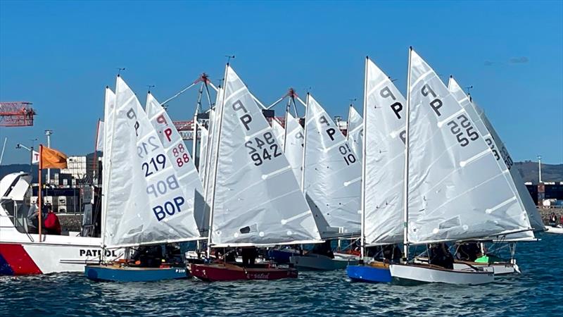 Wihau Shield - Day 2 - P Class Centennial - Tauranga Y&PBC - May 4-5, 2024 photo copyright Gary Smith taken at Tauranga Yacht & Powerboat Club and featuring the P class class