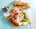 Picnic days to grand adventures aboard a Talaria 43