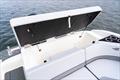 Bayliner V22