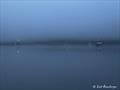 Ford's Terror fog