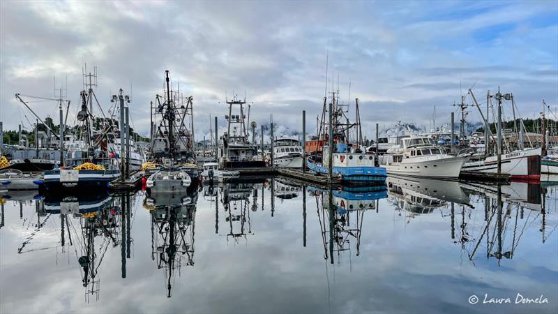 Gray morning in Eliason Harbor (Bonito among the fishing boats) - photo © Laura Domela