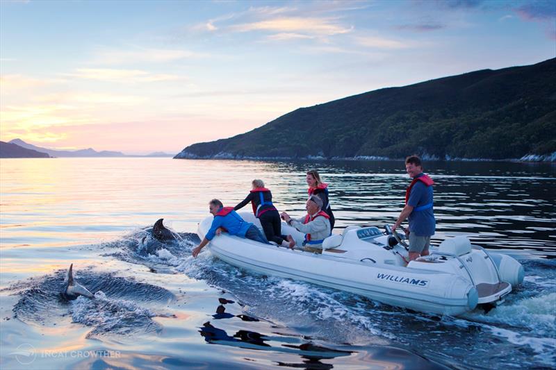 Guests in the jetboat are joined by dolphins at sunset - photo © Mark Daffey