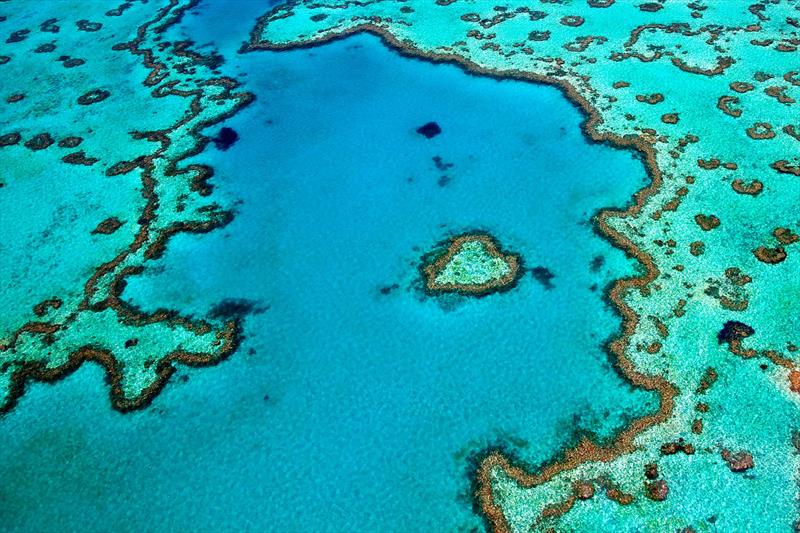 Heart Reef is an internationally recognized attraction of the Whitsundays - photo © Riviera Australia