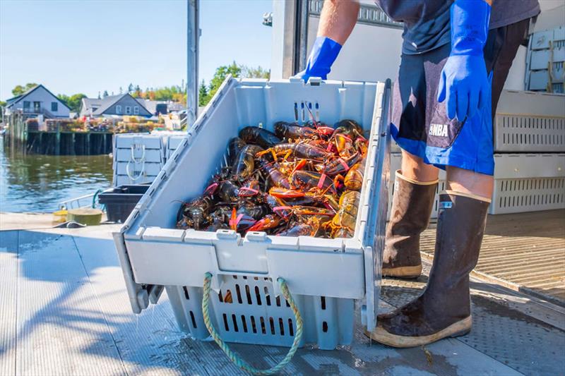 The seafood in this part of the world is not only plentiful, but it also tastes superb photo copyright Riviera Australia taken at  and featuring the Power boat class