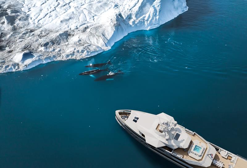 SeaXplorer 60 polar whales photo copyright Damen Yachting taken at  and featuring the Power boat class