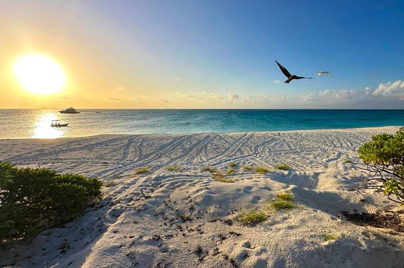 A thin strip of sand is home to a variety of sea birds - photo © Riviera Australia