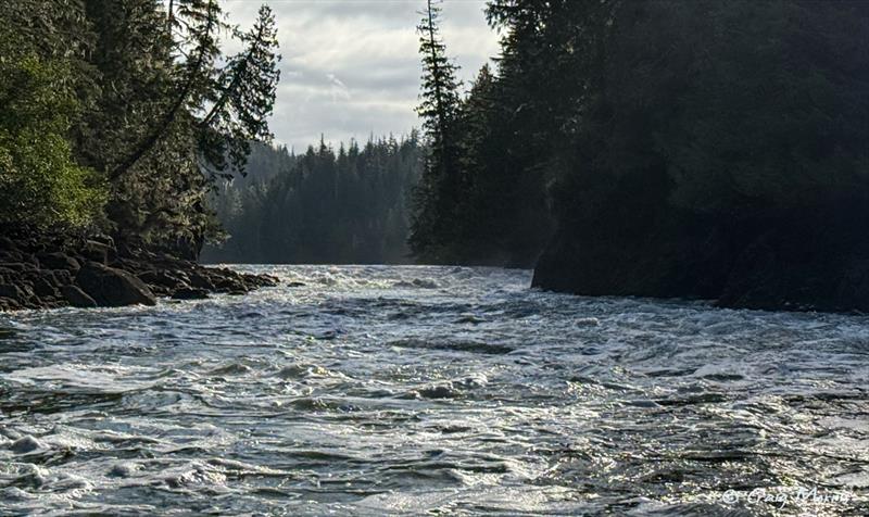 Bradley Lagoon Blunden - photo © Craig Morris