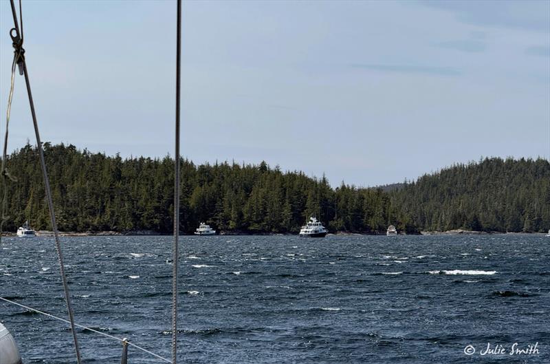 Blunden anchorage - photo © Julie Smith
