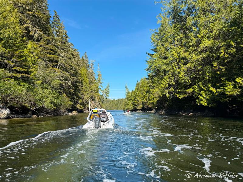 Blunden exploring - photo © Adrianne Keffeler