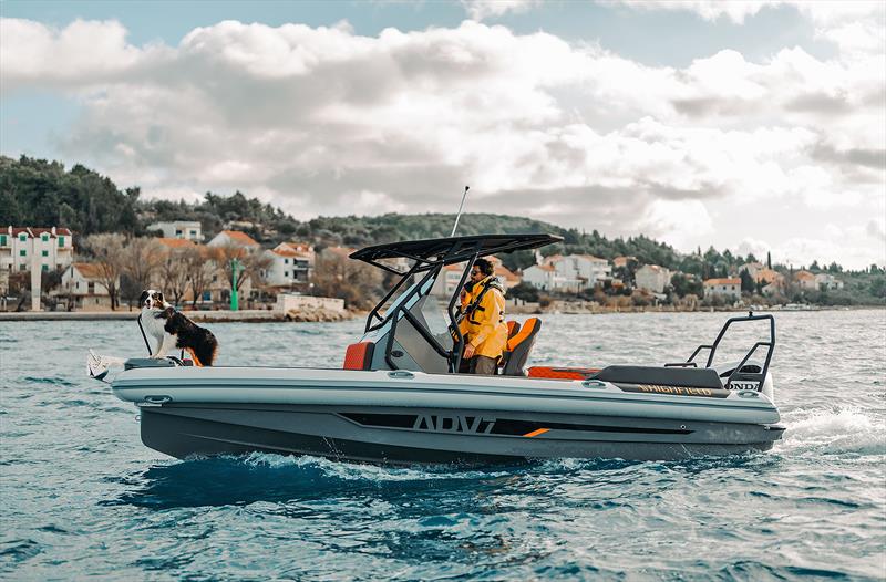 Not just Man's best friend, but Canine's best pal too - ADV7 - photo © Highfield Boats