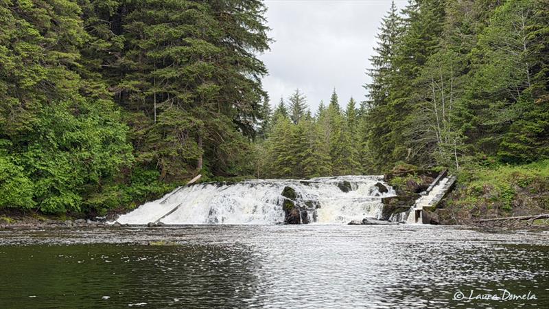 Waterfall and fish ladder, Pavlof Harbor - photo © Laura Domela