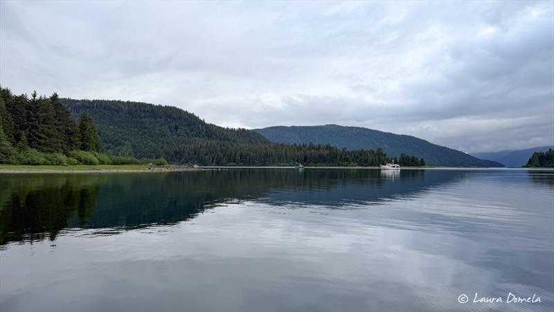 Morning in Appleton Cove - photo © Laura Domela