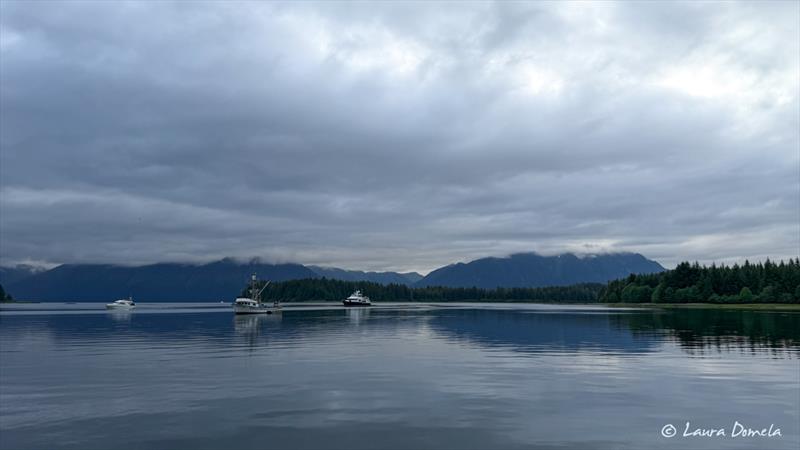 Morning in Appleton Cove - photo © Laura Domela