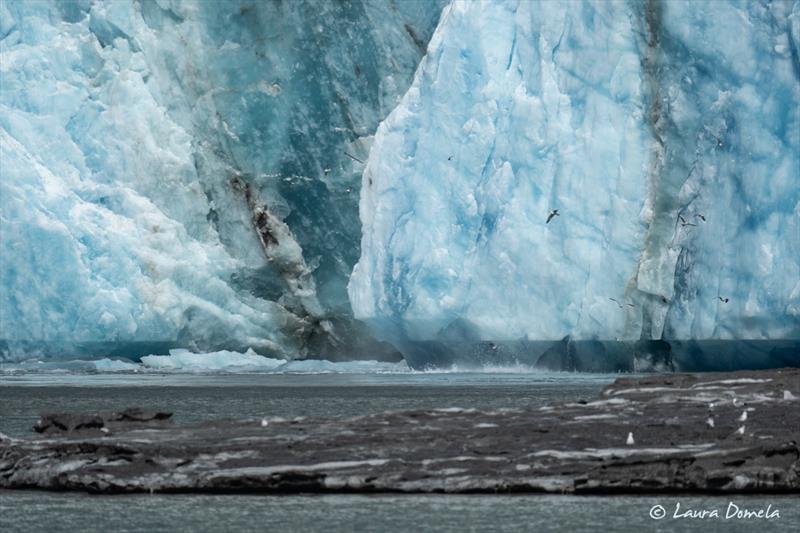 Dawes ice - photo © Laura Domela