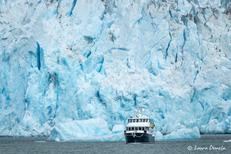True Grit - Dawes Glacier - photo © Laura Domela