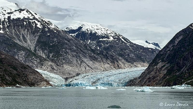 Dawes Glacier - photo © Laura Domela