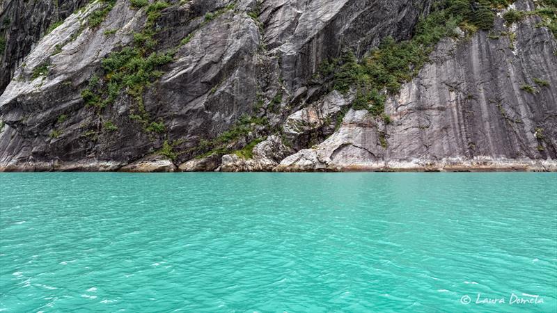 Endicott Arm - photo © Laura Domela